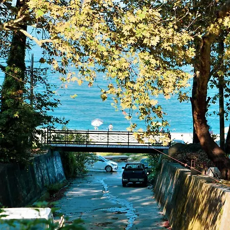 Flori's With Big Yard And Seaview 度假居